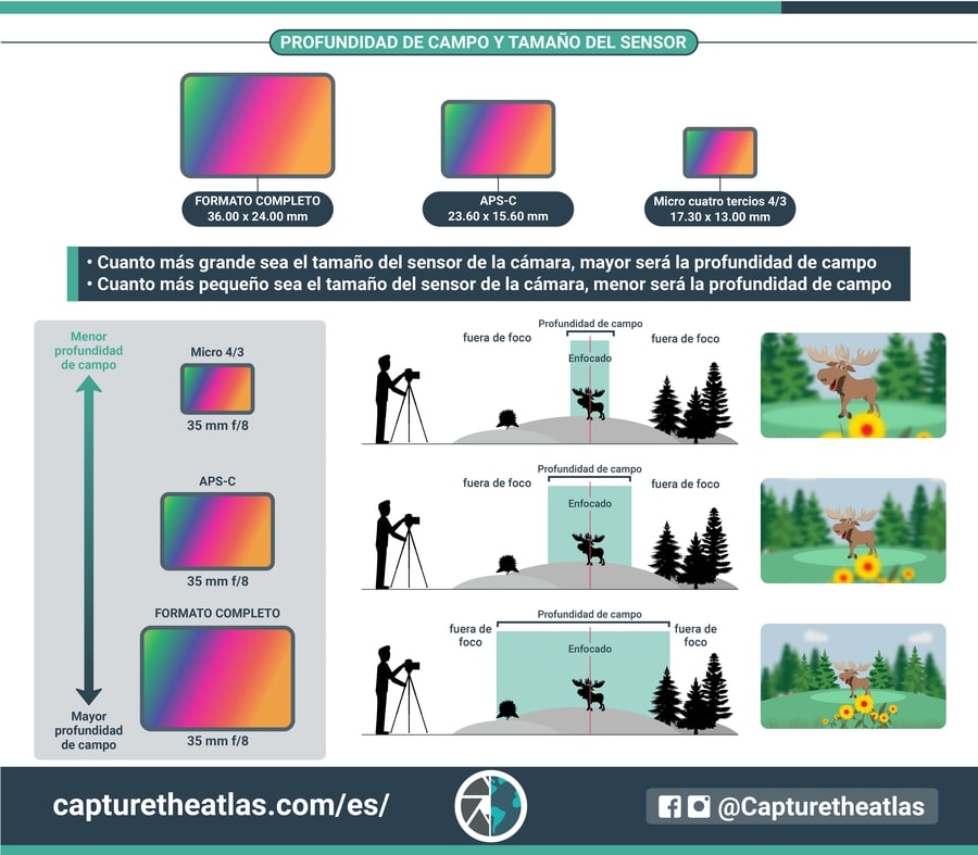 Tamaño Del Sensor De La Cámara ¿por Qué Es Importante 8379