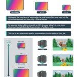 Camera Sensor Size in Photography - Why it Matters!