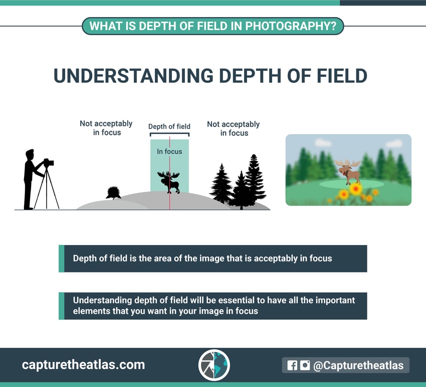photography concepts depth of field