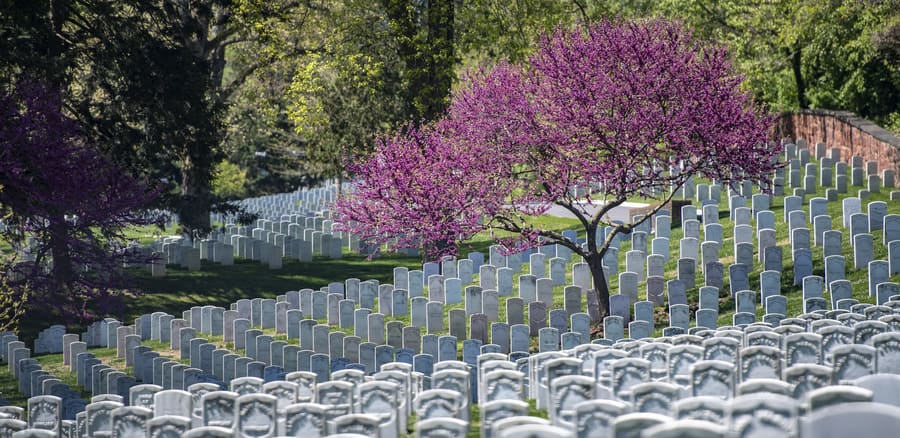 Cementerio Nacional de Arlington, sitios que visitar en Washington D.C.