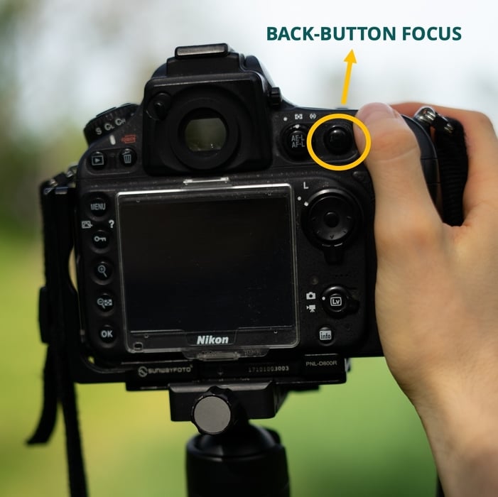 How to focus using Back-button focus