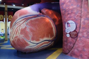 25 Things to Do in Philadelphia MAP with photos