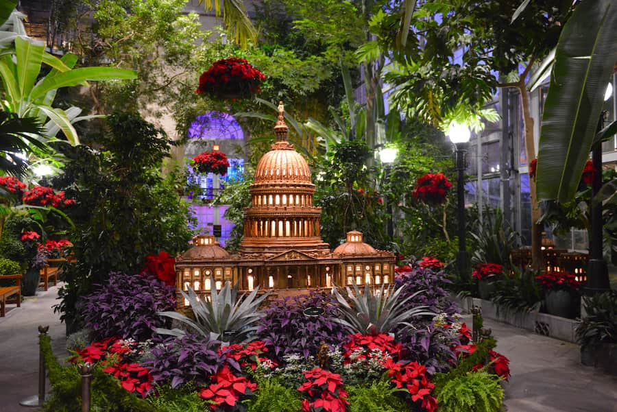 Jardín botánico de los Estados Unidos, un sitio que visitar en Washington D.C. con niños