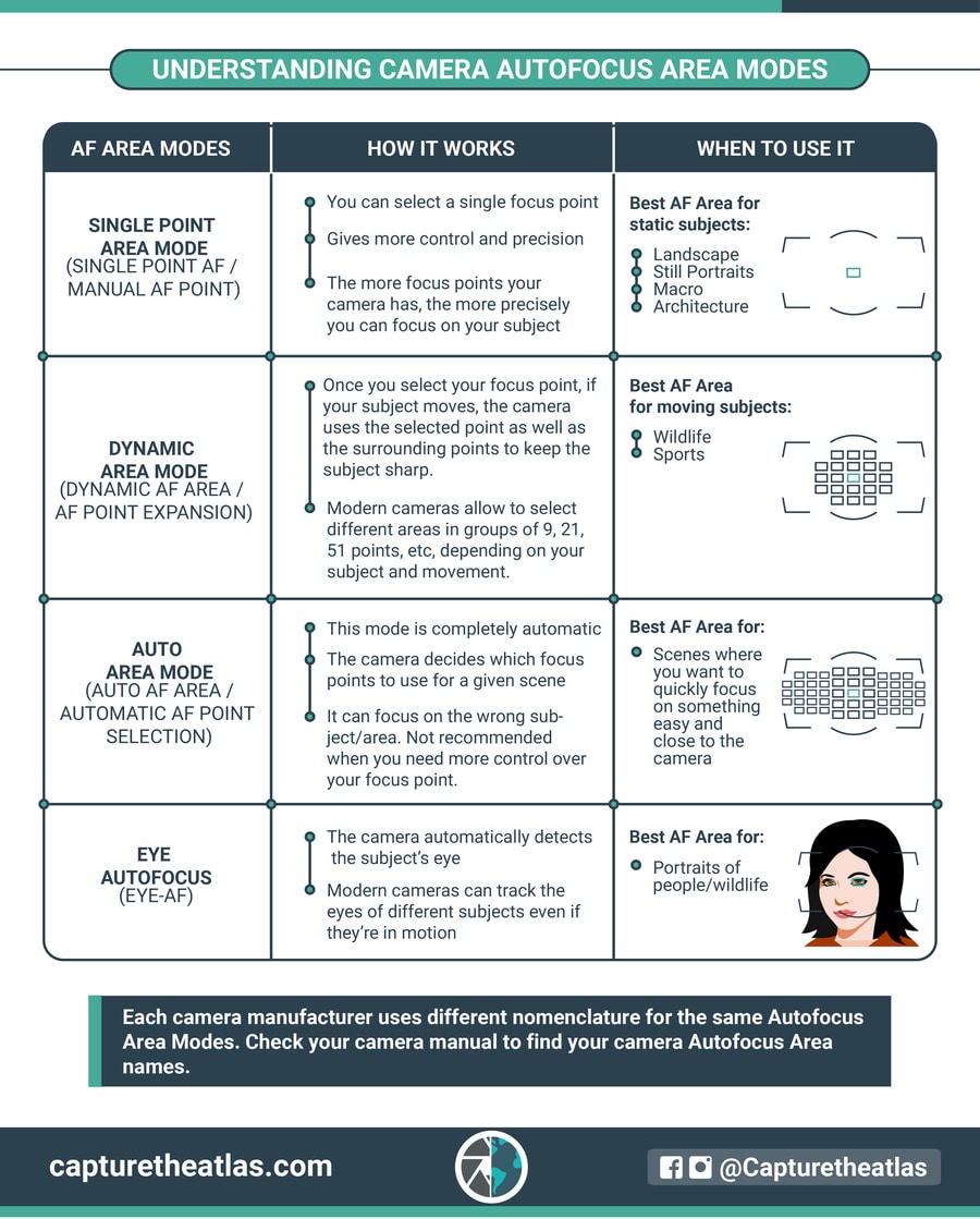 understanding camera autofocus area modes