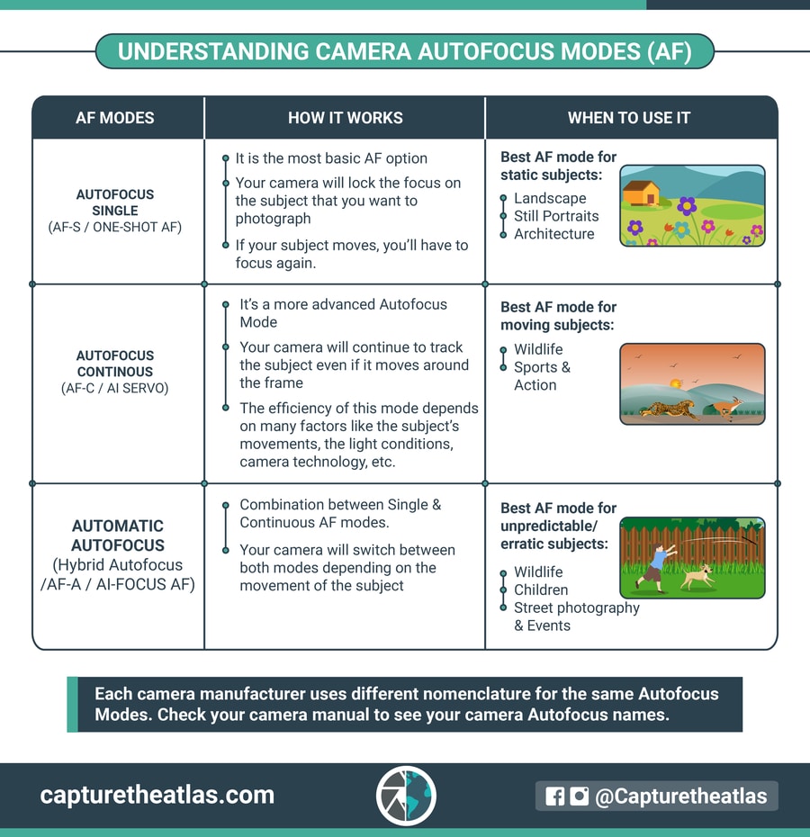 Focus Modes Explained - Understanding Camera Autofocus Modes