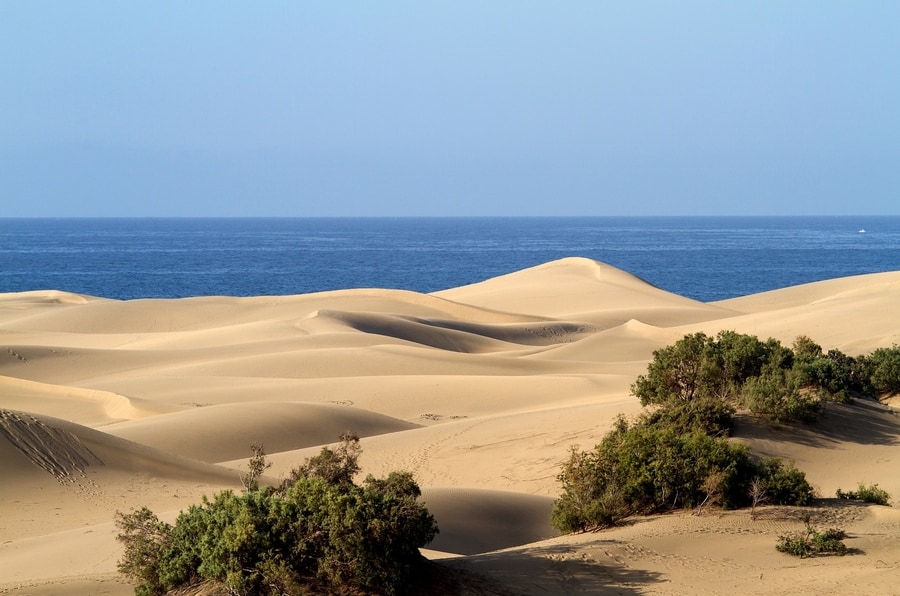 Las dunas de Maspalomas, qué ver en Gran Canaria