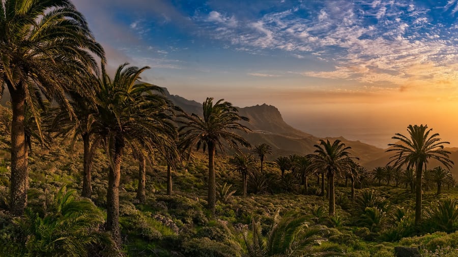 Viajar a las Islas Canarias, La Gomera la isla más tranquila de canarias