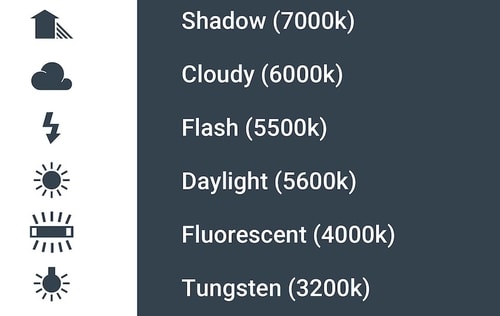 adjusting white balance on camera