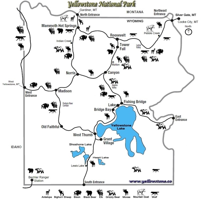Mapa para ver animales en Yellowstone