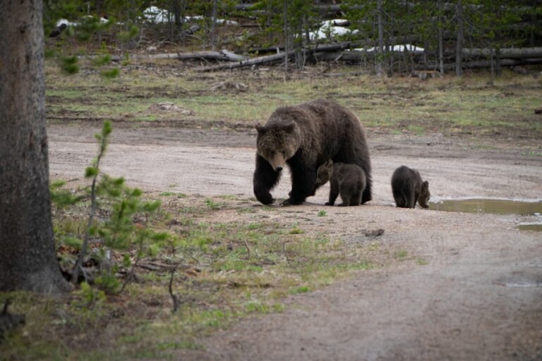 Camera Metering Modes Explained How to Use Metering Modes