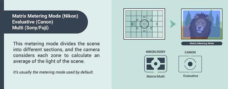 Light metering guide