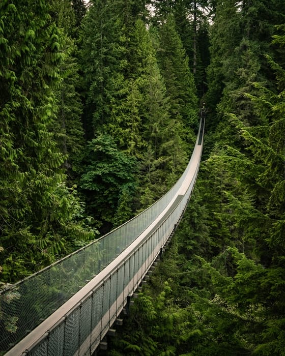 Cruzar el puente colgante Capilano, algo que hacer en Vancouver