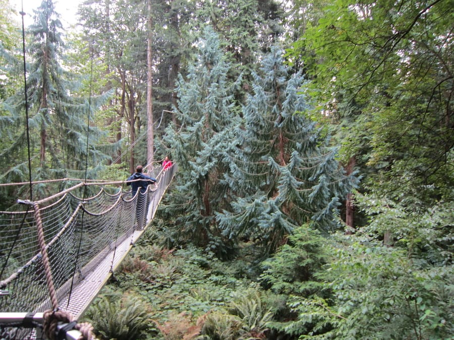 Greenheart TreeWalk, things to do in Vancouver with kids