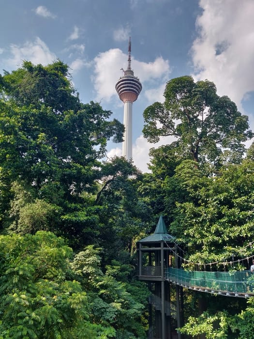 KL Forest Eco Park, unique things to do in Kuala Lumpur
