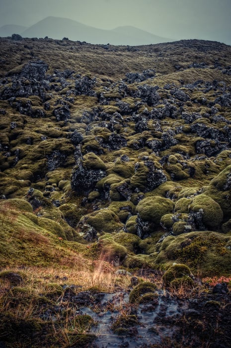 Campo de lava Berserkjahraun, península de Snaefellsnes, Islandia