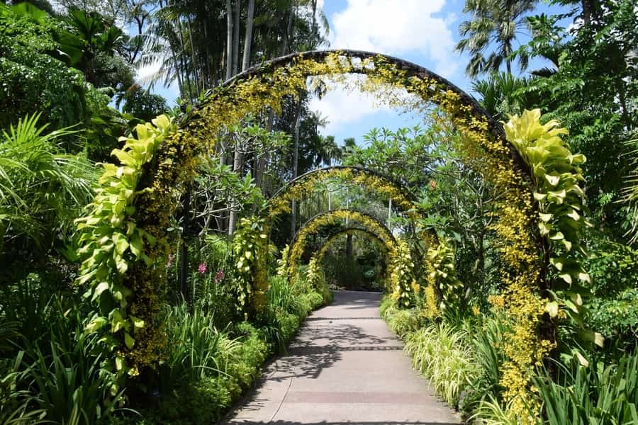 Singapore Botanic Gardens, things to see Singapore