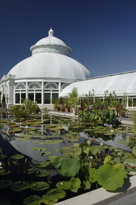 Jardín Botánico de Nueva York, sitio que visitar en el Bronx 