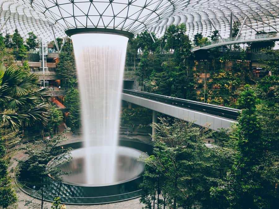 Canopy Park, Singapur turismo que ver
