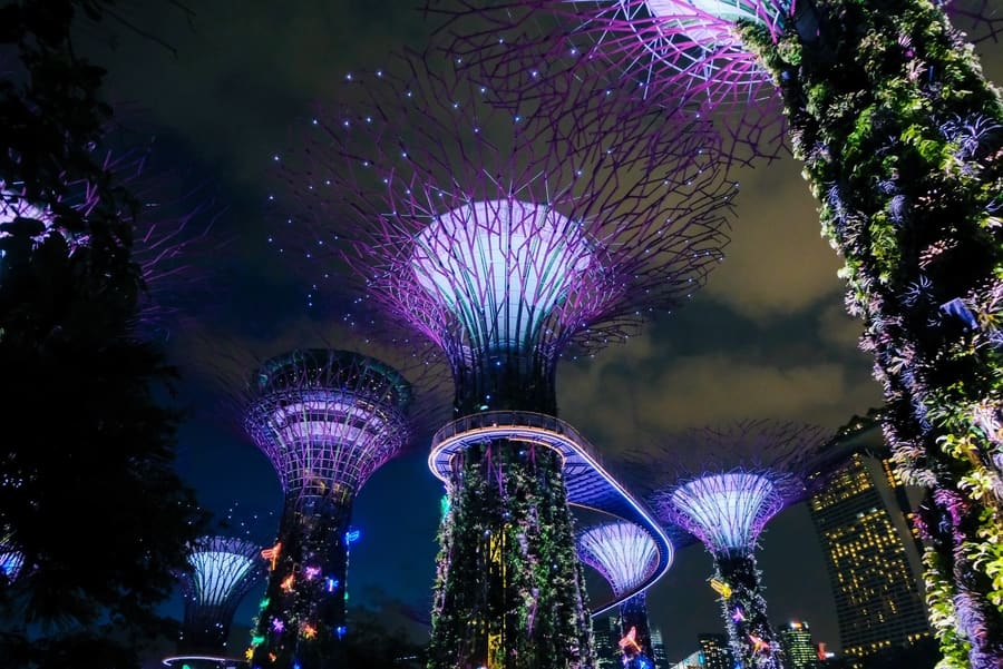Things to do in Singapore gardens by the bay