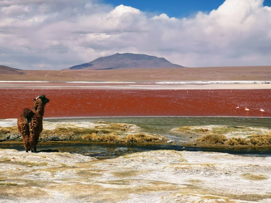 Bolivia, famous landmarks south america