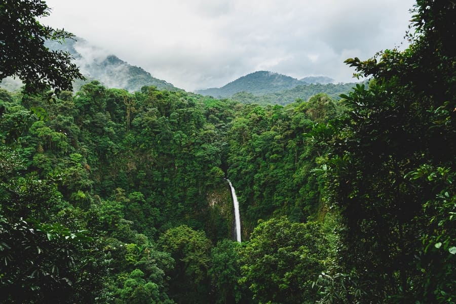 Rainforest in Costa Rica, safest country in latin america
