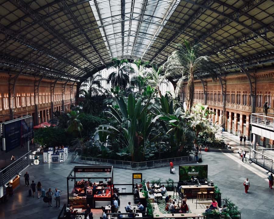 Atocha Railway Station, something to see in Madrid