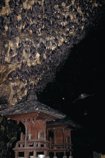 bat cave in goa lawah a great thing to do in bali goa lawah