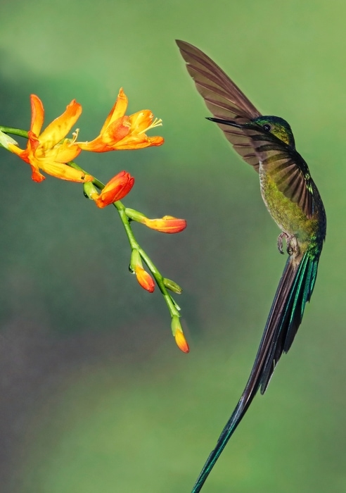 Ecuador, el mejor país para visitar en Sudamérica para amantes de la naturaleza