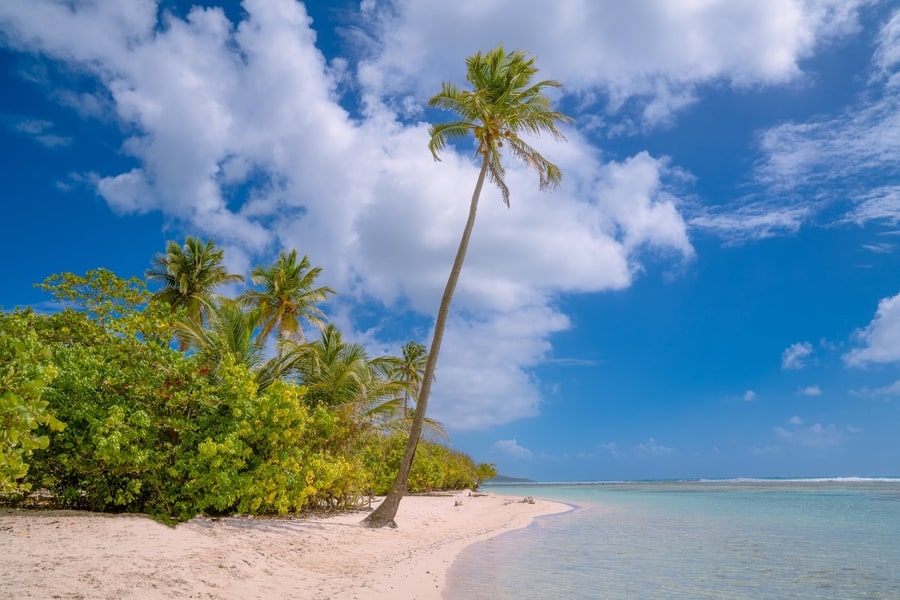 Guadalupe, unas islas tranquilas caribeñas para vacacionar