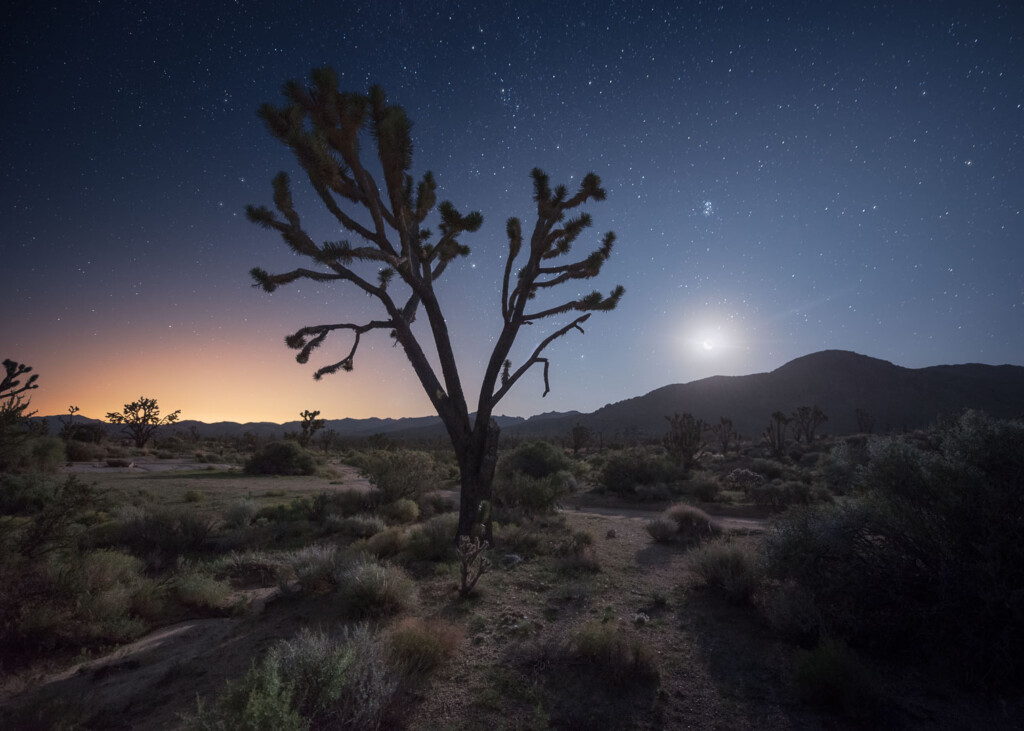 Mojave National Preserve, USA