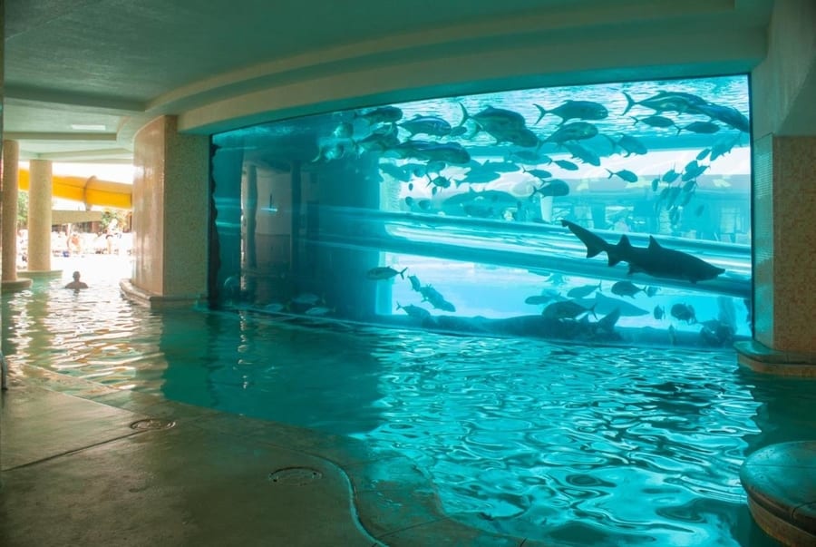 The Tank at Golden Nugget, piscinas en Las Vegas