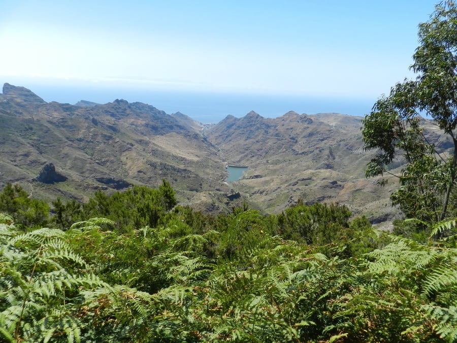 Llano de los Loros viewpoint, Anaga, Tenerife