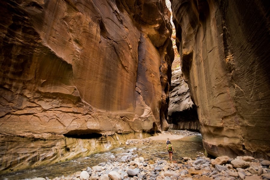 The Narrows, day tour to zion national park from las vegas