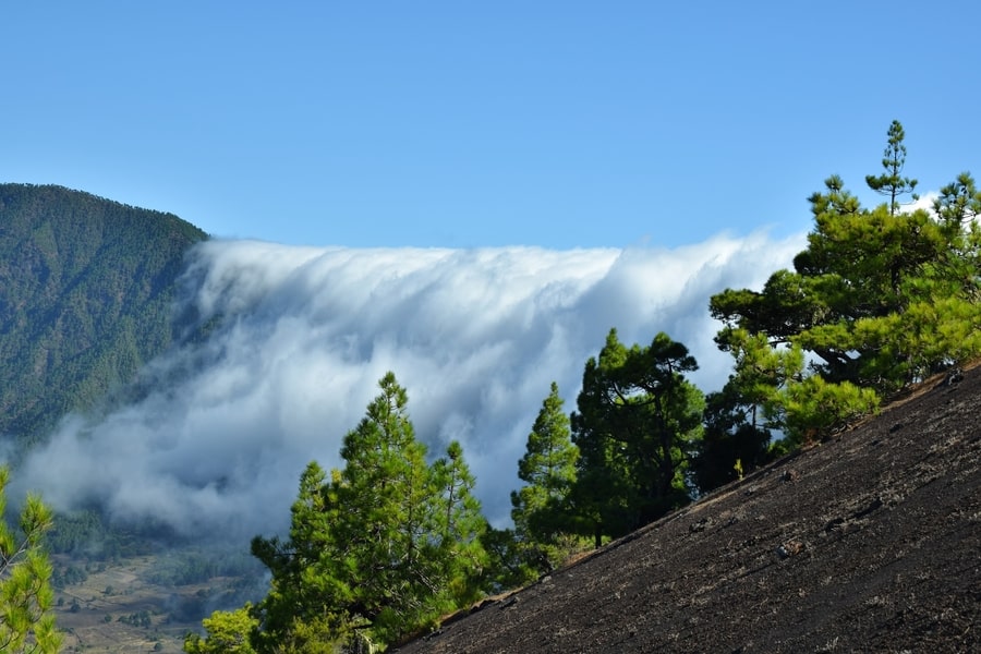 Parque Nacional de la Caldera de Taburiente, que ver en La Palma