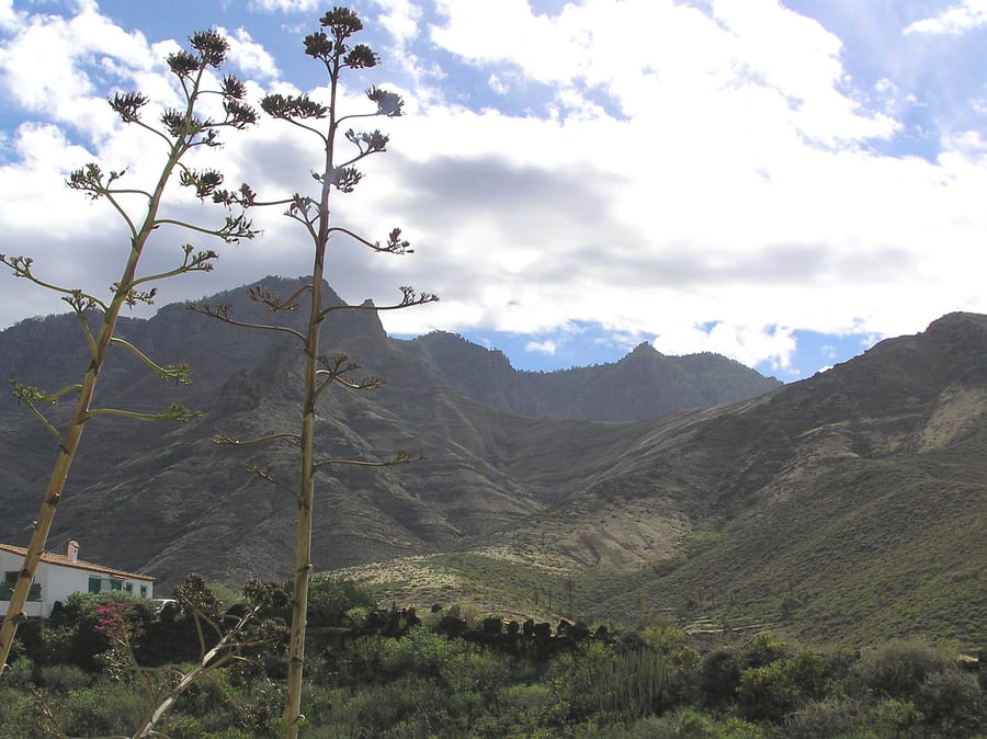 Valle de Agaete, lugares para visitar en Gran Canaria