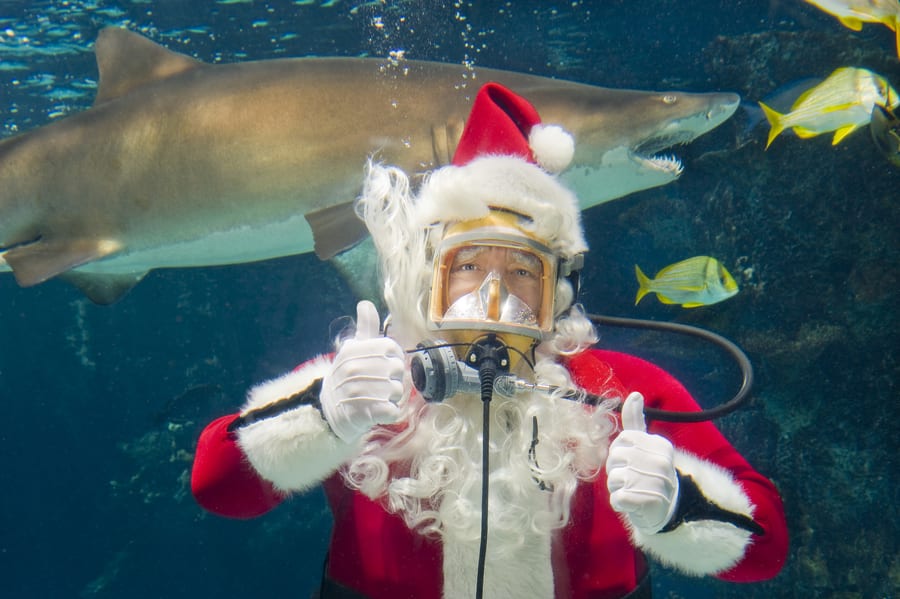 Underwater Santa, algo que ver en Navidad en Las Vegas