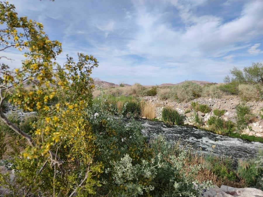Wetlands Park Nature Preserve Loop, off-road trail near Vegas Nevada