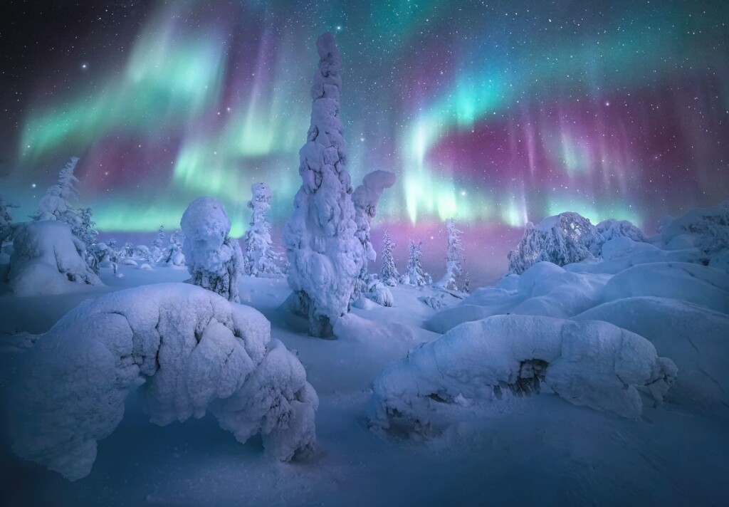 “FOREST OF THE LIGHTS” – MARC ADAMUS