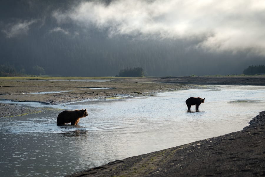 Viaje fotográfico a Alaska grupos reducidos