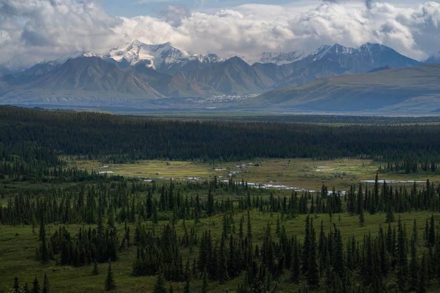 Tour para fotografiar fauna salvaje en Alaska