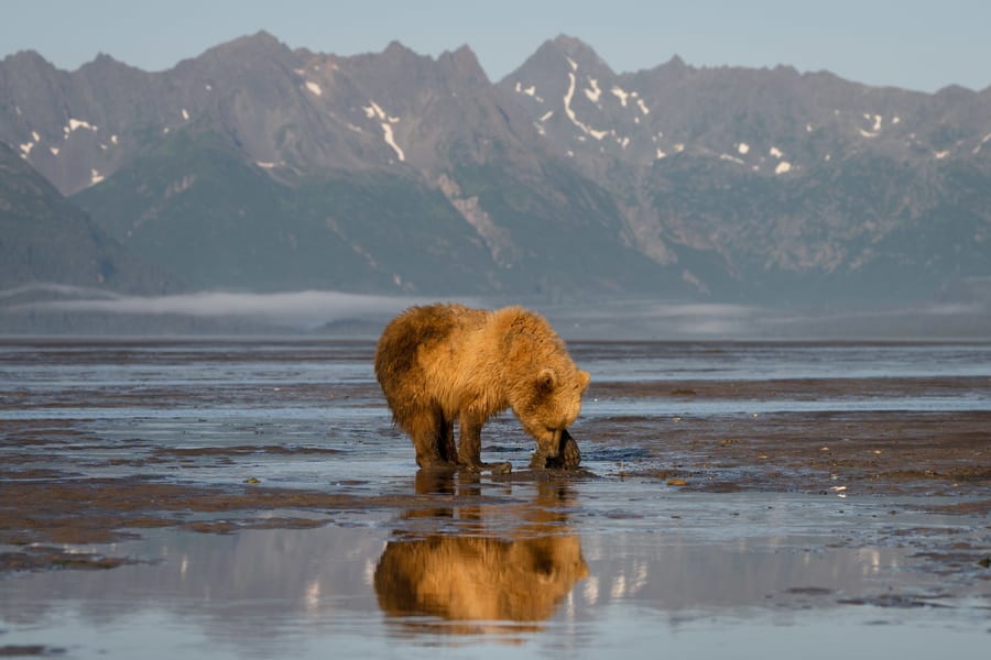Taller fotográfico en Alaska