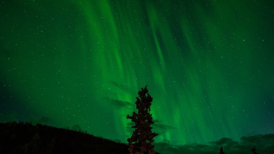 Denali National Park, donde ver auroras boreales en alaska
