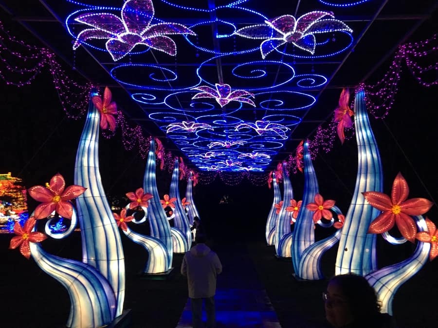 NYC Winter Lantern Festival, fun things to do in nyc in the winter