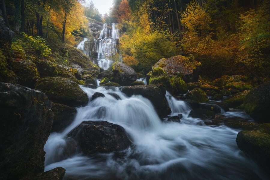 Tall waterfall in a forest during the fall season with yellow trees and leafs
