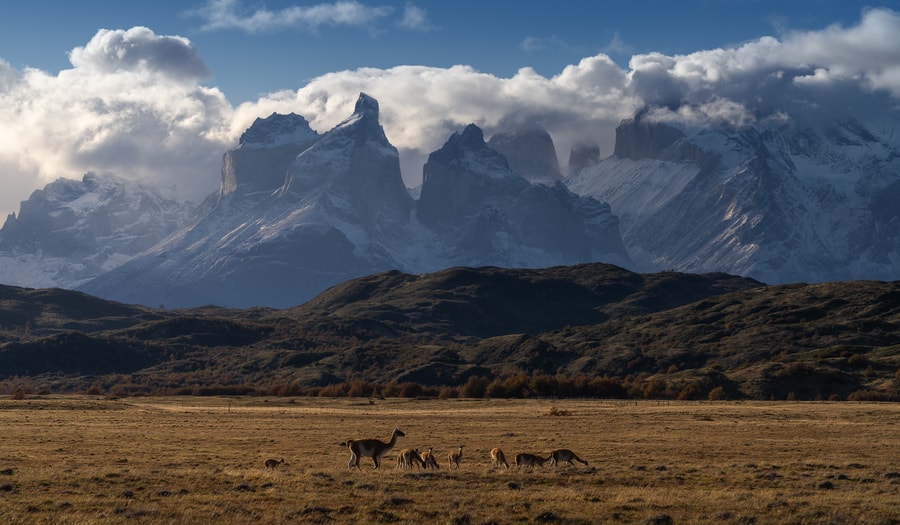 Tour fotográfico por Torres del Paine, Chile