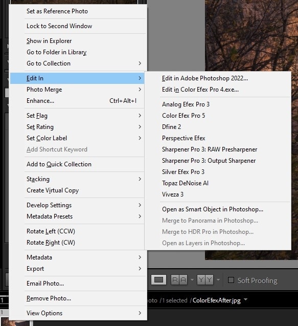 How to use Nik Collection Lightroom plugin