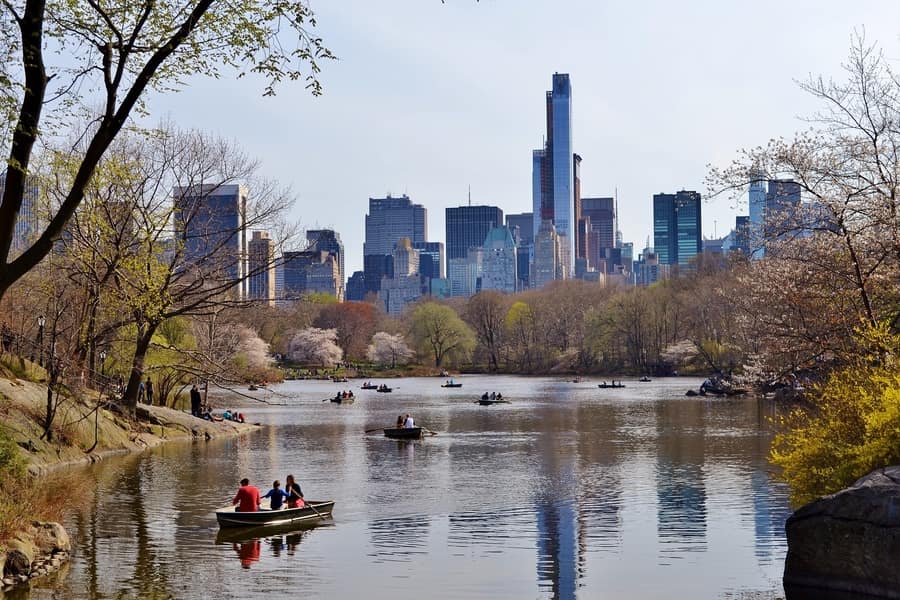 Central Park, a week in new york itinerary