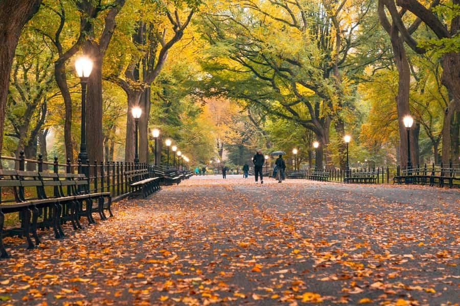 The Mall & Literary Walk, algo que visitar en Central Park en otoño