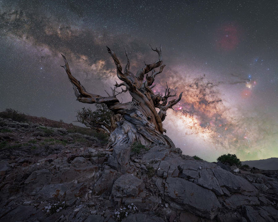 Incredible locations to photograph the Milky Way in California