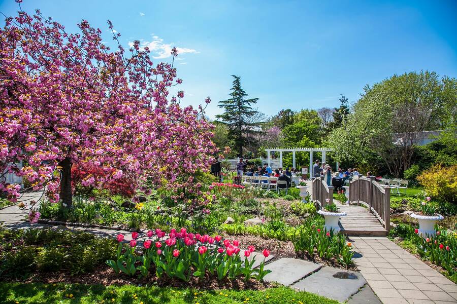 Jardín Botánico, algo que ver en Queens al aire libre
